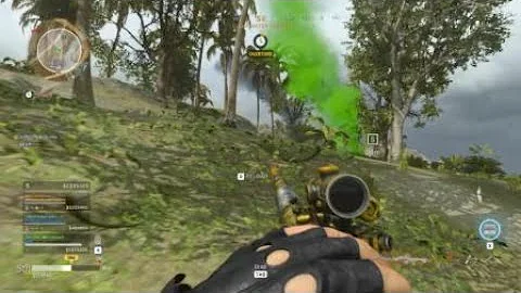 Call of Duty®:Warzone - how to counter stun+execution