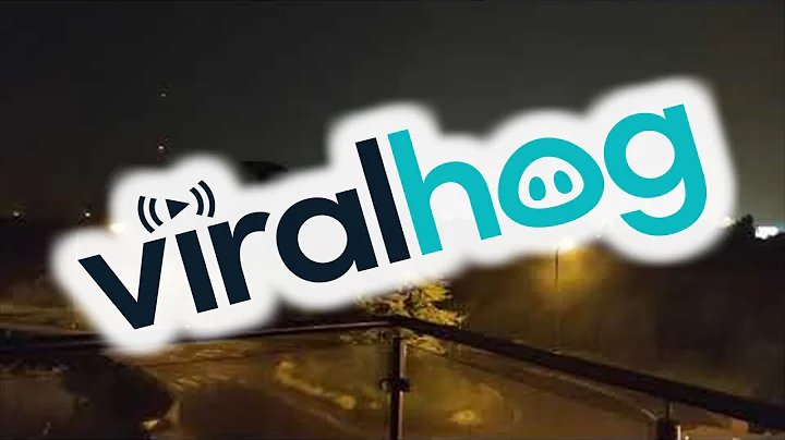 Wild Storm Snaps Centuries Old Tree || ViralHog