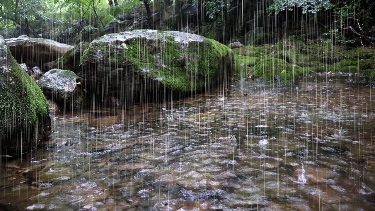 Звуки дождя для сна | Расслабляющий пейзаж, целебный | Бессонница, шум в ушах