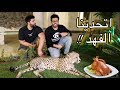 اتحدينا اسرع حيوان في العالم الفهد - سريع في الاكل!! | Cheetah food Challenge