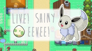 LIVE Shiny Eevee After 3944 Masuda Method Eggs!