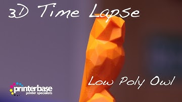 Robox 3D Printer - Owl | printerbase.co.uk