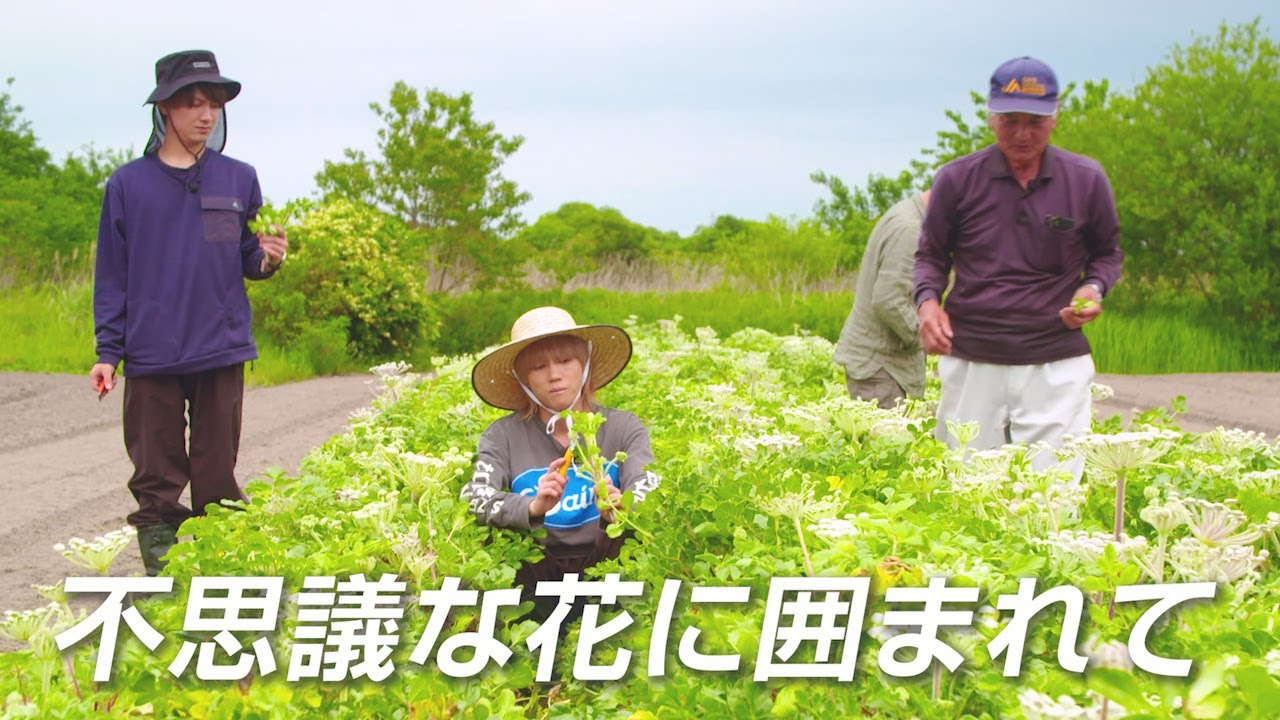 不思議な花に囲まれて-vol.34「フツウニ オモエテキタ」