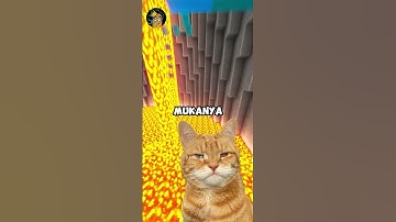Apakah Kamu Bisa Tahan Tawa? (Part 144)