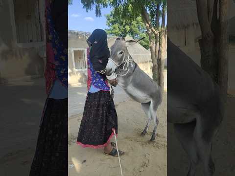 كان الرجل يمارس الحب مع الفراش