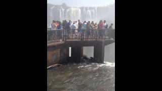 Nas cataratas do Iguaçu