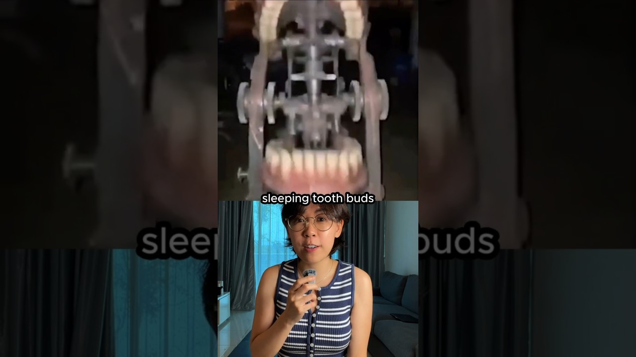 Can Scientists Give Us a Third Set of Teeth?