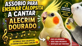 Ensine sua Calopsita a Cantar “Alecrim Dourado” 🎶 (Assobio Fácil e Rápido Para Ensinar ou Alegrar)