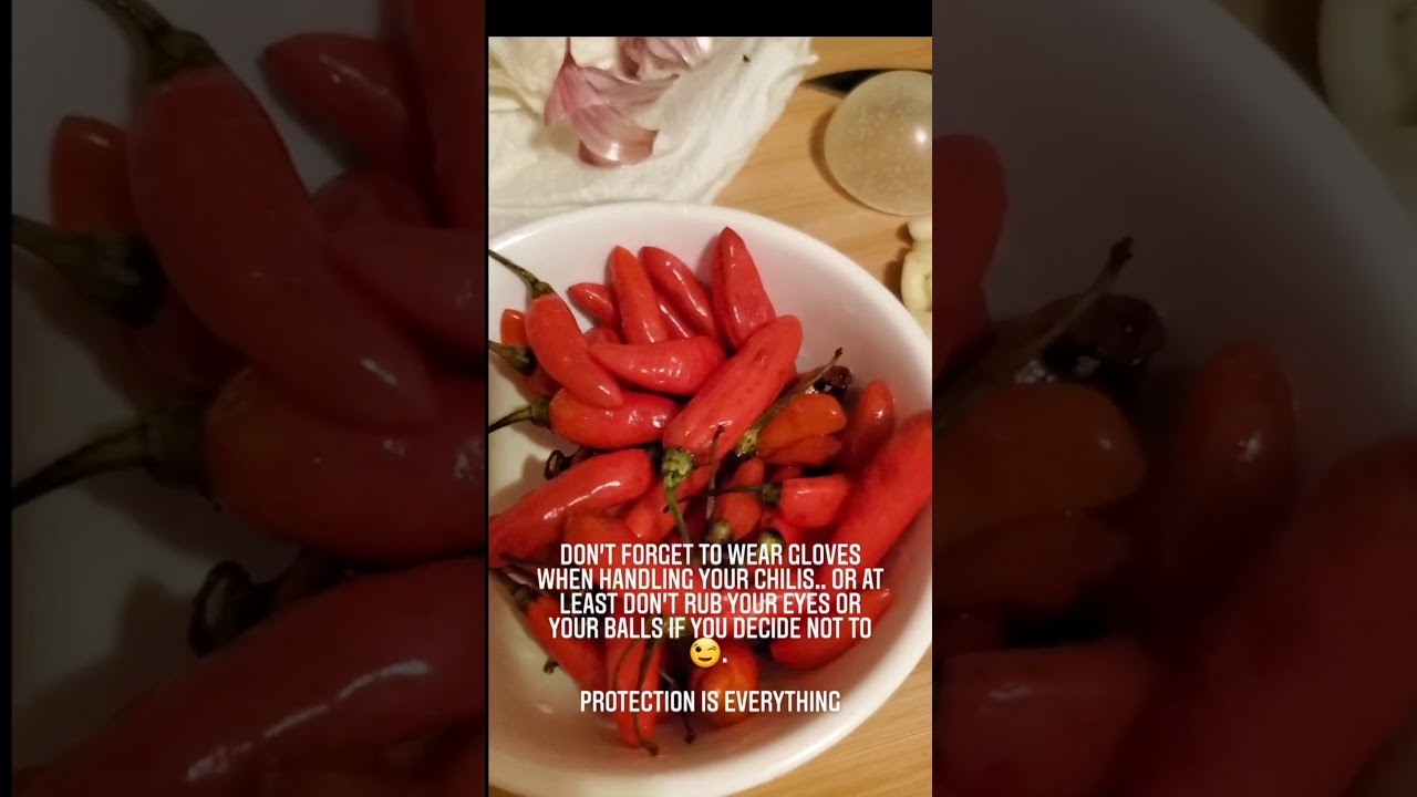 Recipe Hawaiian Chili Pepper Water YouTube