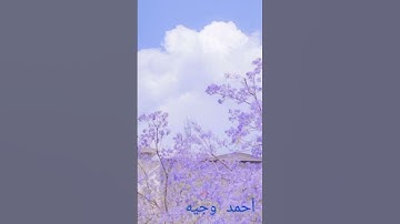 #قران_كريم #اكسبلور #تلاوات #تلاوة_خاشعة #تلاوه #دويتو #quran #لايك #تيك_توك