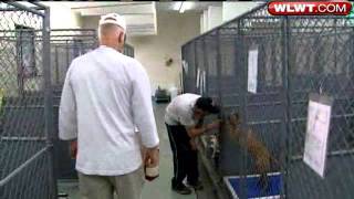 Shelter Seeks Homes For Adoptable Dogs