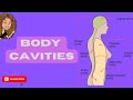 Body cavities - anatomy and physiology  (human body)