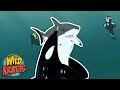 Wildlife Adventure Quiz