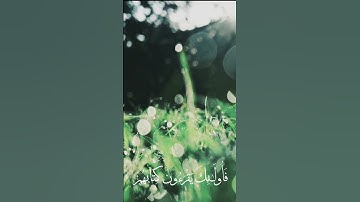 من سورة الإسراء | ابداع الشيخ المنشاوي رحمه الله
