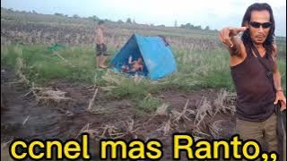 ber petualang memikat burung belibis, penerus jabrik anak jabrik