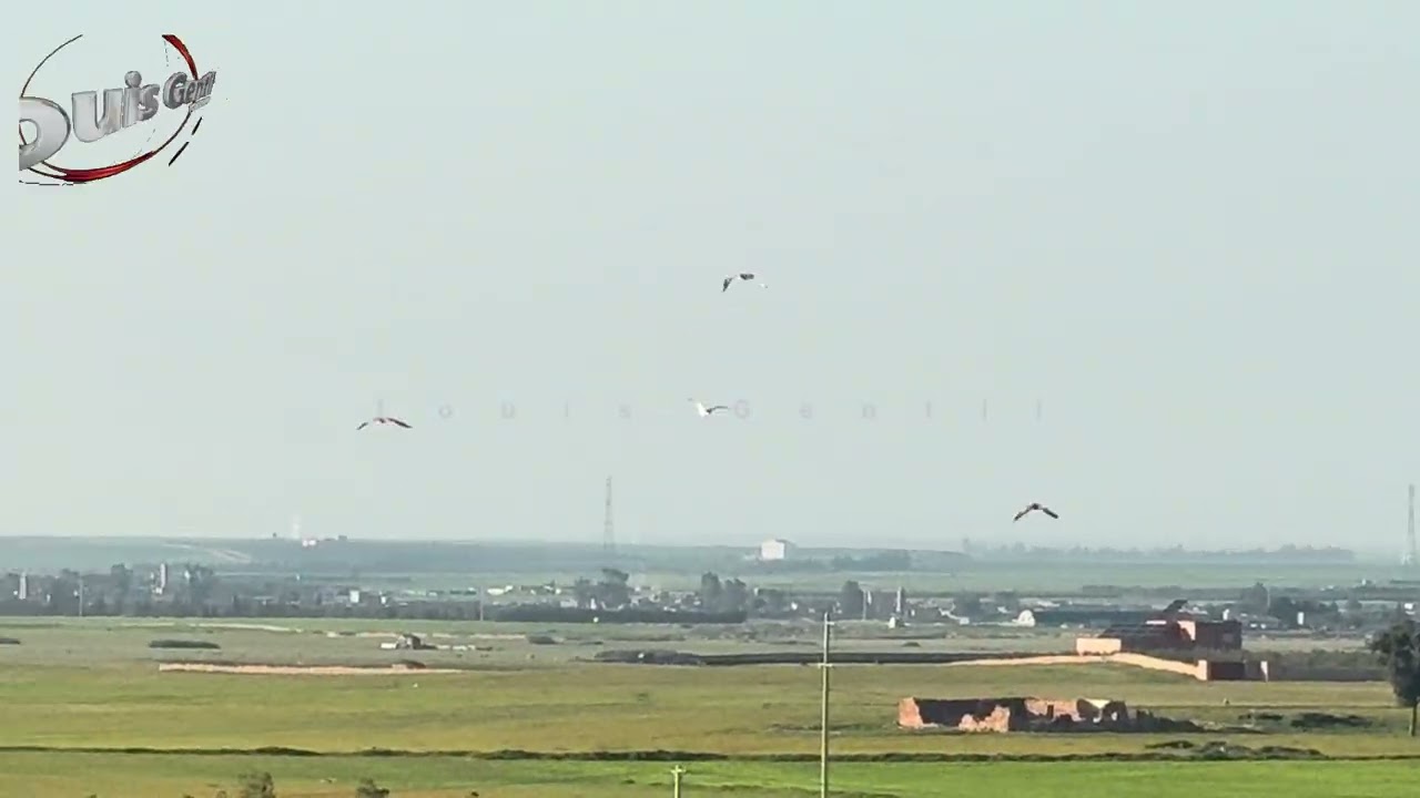 الحمد لله… الإقليم اليوسفية يكتسي بالأخضر مع عودة الحياة وتجدّد نبض الأرض إلى الأخضر🌧️🌿