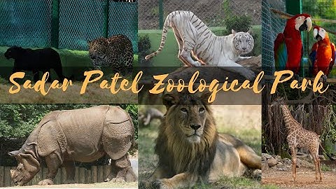 Jungle safari & Pet zone- Statue of Unity | Best zoo in India || Part 2