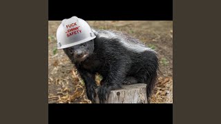 The Honey Badger