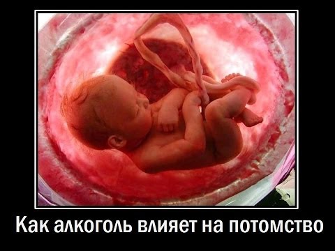 Смотреть фильм конвой pq 17 4 серия
