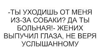картинка: -Ты уходишь от меня из-за собаки? Да ты больная!- жених выпучил глаза, не веря услышанному