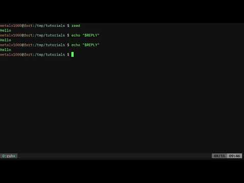 BASH Reply to Read Linux Shell Tutorial