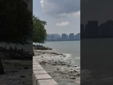 🇲🇾 Captivating Oceanic