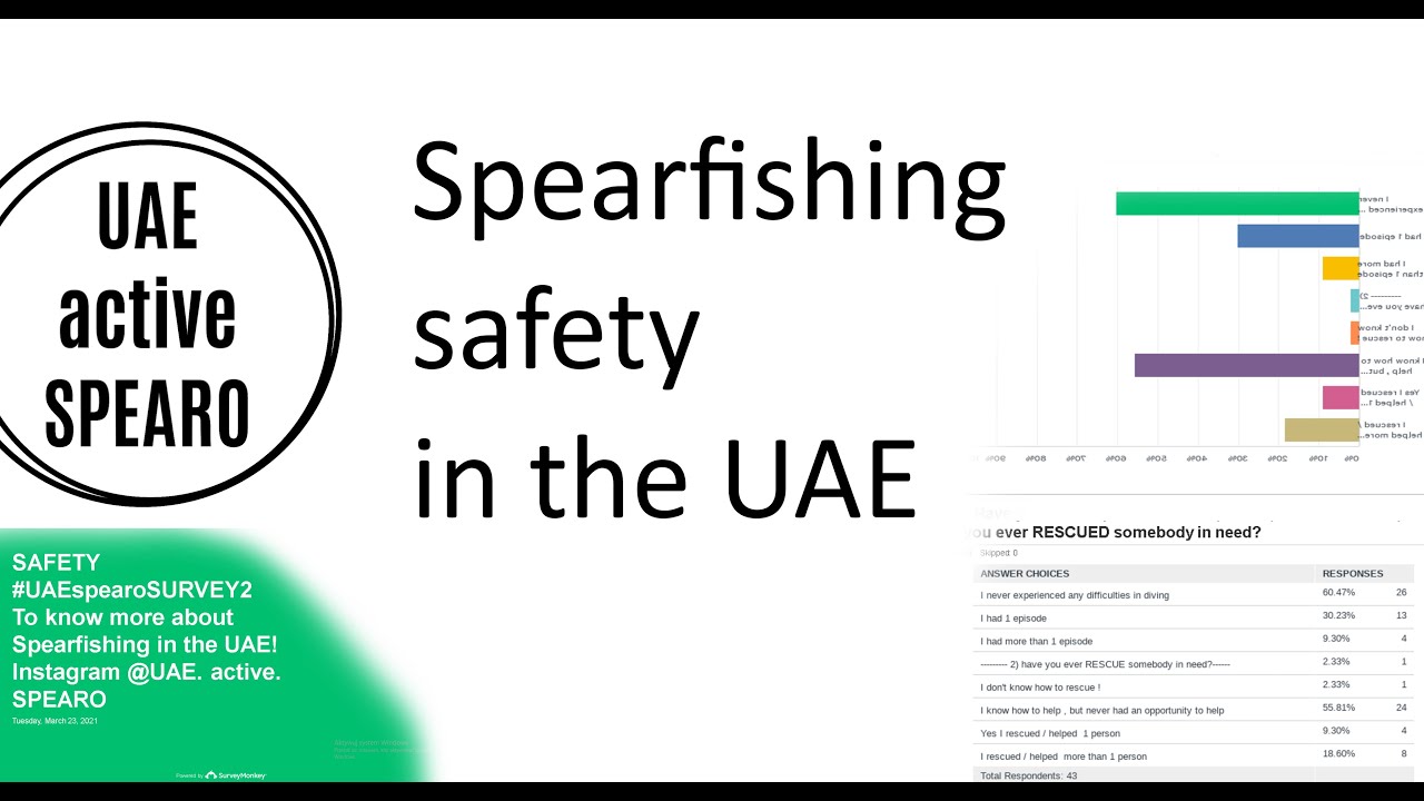 Spearfishing safety in the UAE Results SURVEY2 YouTube