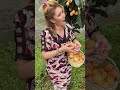 La zella kabyle ghenia dans son jardin et cueille des abricots 