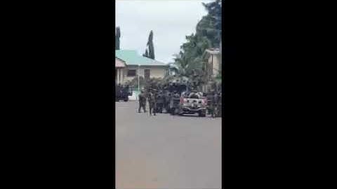 LIVE! Python Dance: Buratai