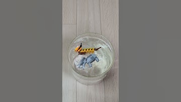 [4K] Insects Lego Reverse magic #shorts