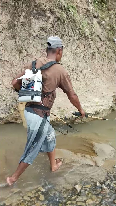 Setrum Ikan Di Sungai | Sejuta Petualangan #shorts