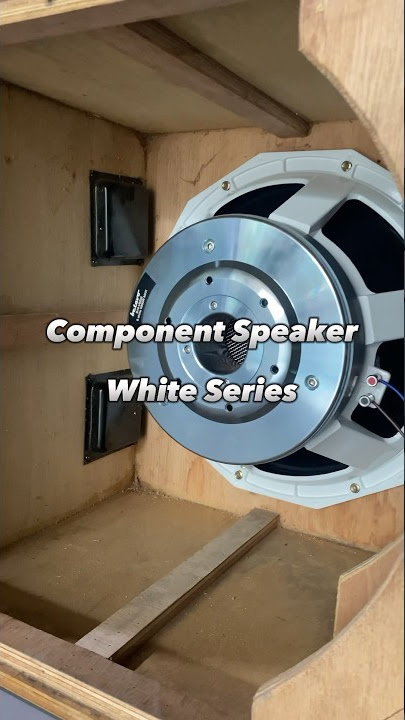 Betavo Audio white series component speakers #betavoaudio #horeg #audio #shorts #components