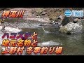 上野村冬季釣り場に行ってみた2【旅情編】 / Tiemco Fly Fishing JP / ティムコ フライフィッシング