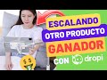 ESCALANDO PRODUCTO GANADOR DEL Q4 PAGO CONTRA ENTREGA CON DROPI