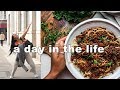 A day in the life (vegan food & updates)
