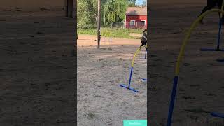 Tihkun Hoopers-Treenitunnelmia