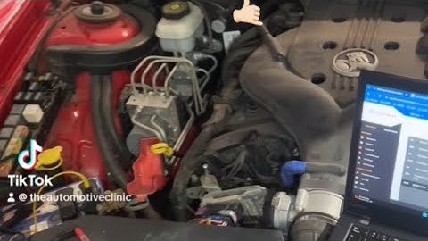 Holden VZ commodore no crank - ecu diagnosis ✅🤙🏻