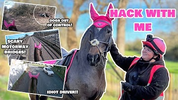 HACK WITH ME | New route, dogs out of control and idiot drivers! Go Pro Vlog