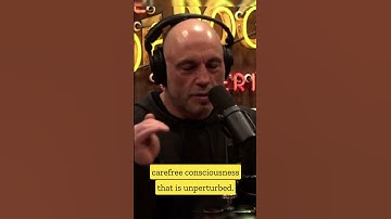 Thumbnail of Joe Rogan Talks About Microdosing Psychedelics Mushrooms With Dr Andrew Huberman 🍄  #shorts