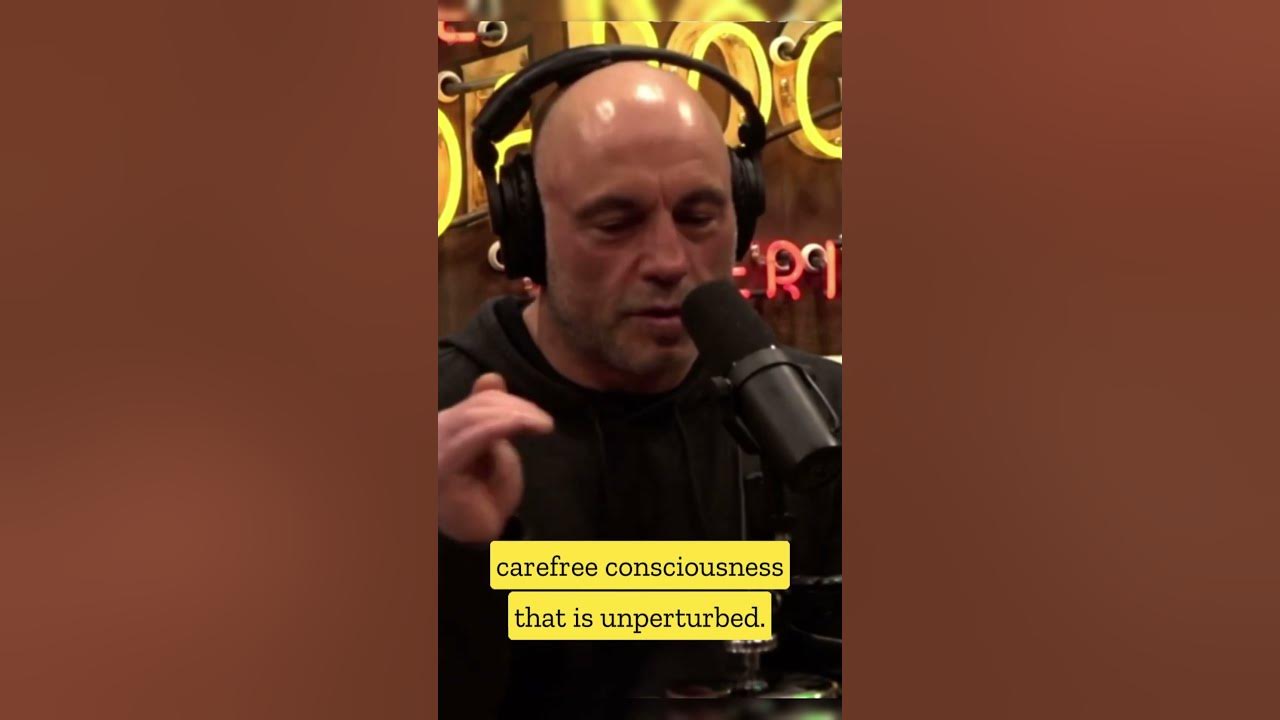 Joe Rogan Talks About Microdosing Psychedelics Mushrooms With Dr Andrew Huberman π #shorts Joe Rogan Talks About Microdosing Psychedelics Mushrooms With Dr Andrew Huberman π #shorts