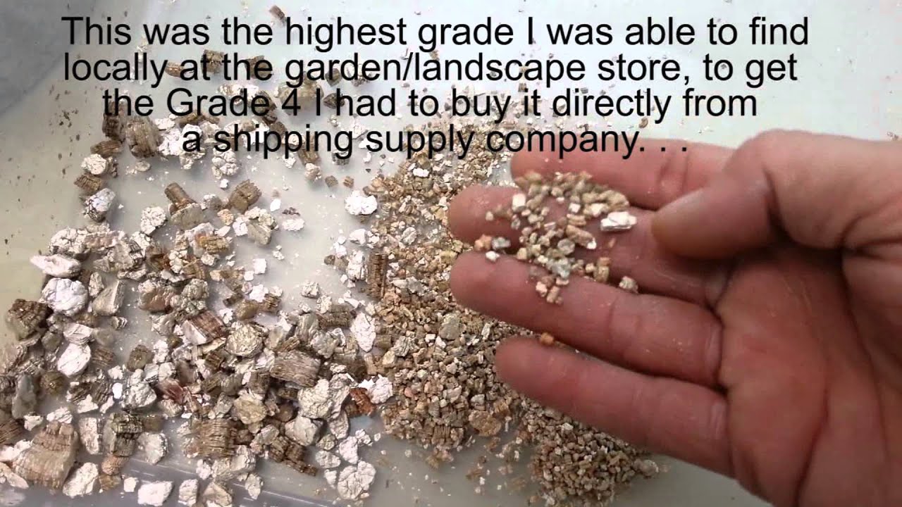 snake oil Incubation Medium