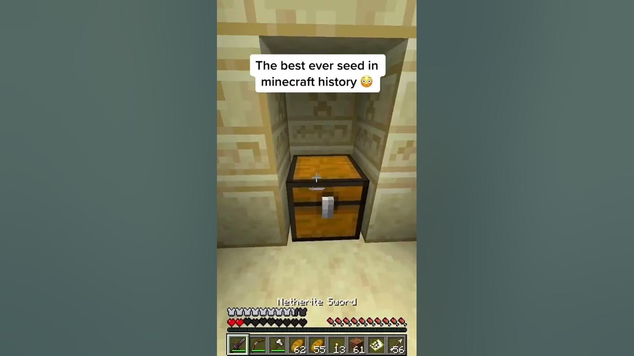 The best seed in minecraft history