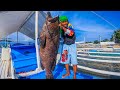 Idol niño nanliit sa laki ng grouper nato catch &amp; sell