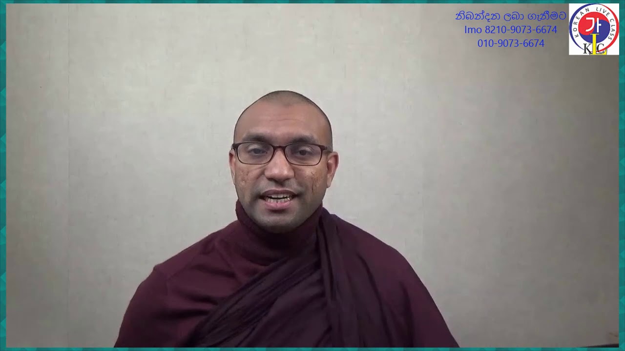 안 And 지 않다 Grammar