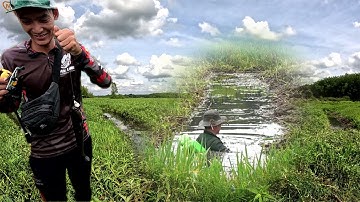 Hành trình săn cá lóc hugo tập 49