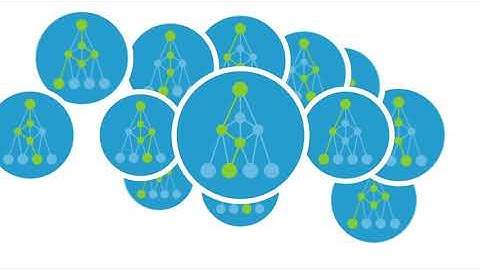 Deloitte Process X-ray: Introduction