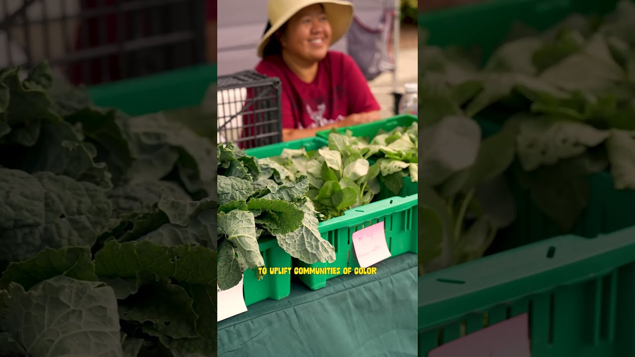 How I Made The Best Collard Greens From A Local Farmers Market 