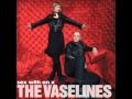 The Vaselines - I Hate The 80's (2010)