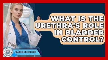What Is The Urethra