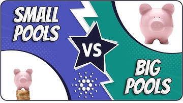 Small Vs Big Cardano Stake Pools | Facts To Consider!